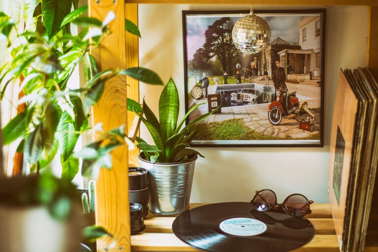 How to Refresh Your Home with Plants for a Natural Makeover